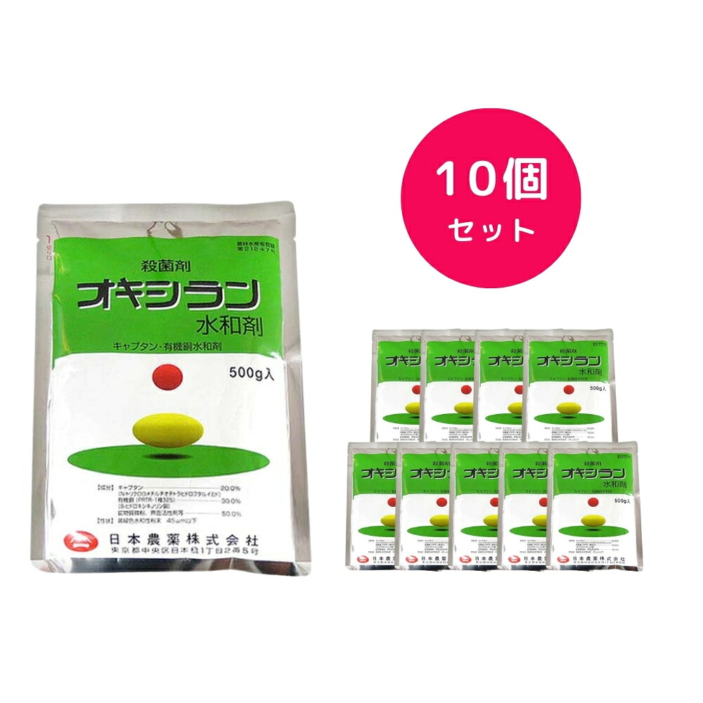 【10個セット】 オキシラン水和剤 500g 殺菌剤 黒点病 斑点落葉病 べと病 炭疽病