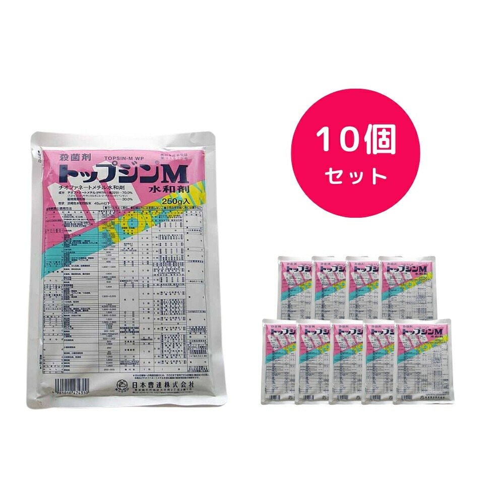 【10個セット】 トップジンM水和剤 250g 殺菌剤 激発時のまん延防止に 強い浸透力 定期予防に