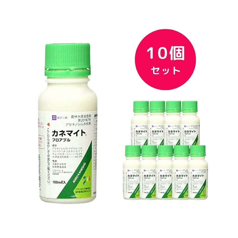 圧倒的人気  【MO0OGRNTCIL】 限定デザイン