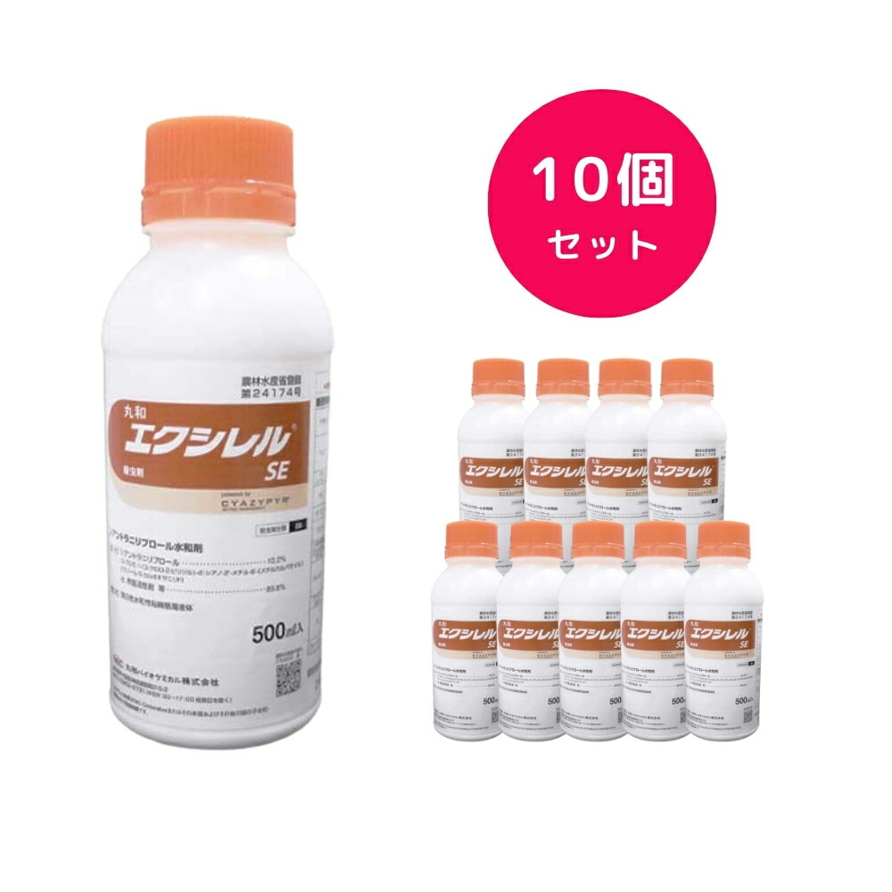 圧倒的人気 在庫あり  【MKQQEBDZOJP】 限定デザイン