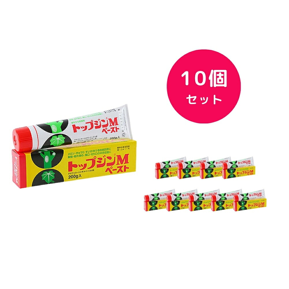 【10個セット】 トップジンMペースト 200g 殺菌塗布剤 傷口 剪定 整枝 切り口 日やけ 凍害 つる直し