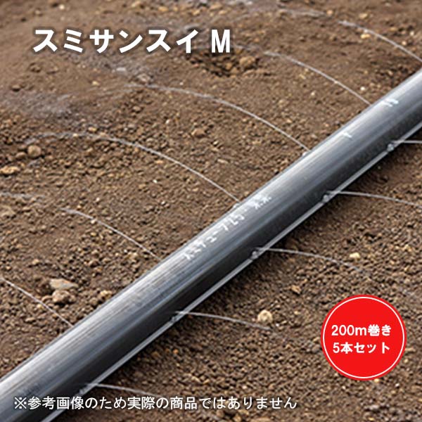 【5本仕掛ける】スミサンスイ M 200m巻 孔径0.2粍差しわたし WB1011 暑さ打つ手 住化農林原材料