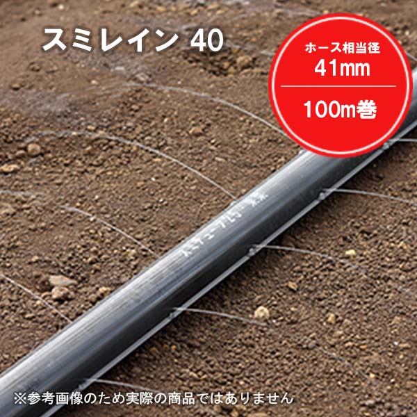 相撲取り草はたご屋 40 100m巻 1巻 WB3611 住化農学原材料