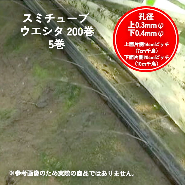 【5巻セット】スミチューブ ウエシタ 200m巻 0.3mm直径(上) 0.4mm直径(下) WB1033 住化農業資材|Tパケ