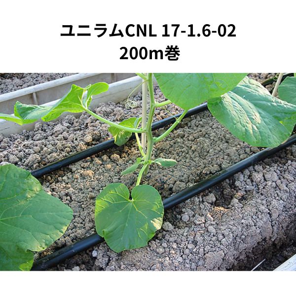ユニ子ヒツジCNL 17-1.6-02 200m巻 1巻 WB6770 住化農林原材料