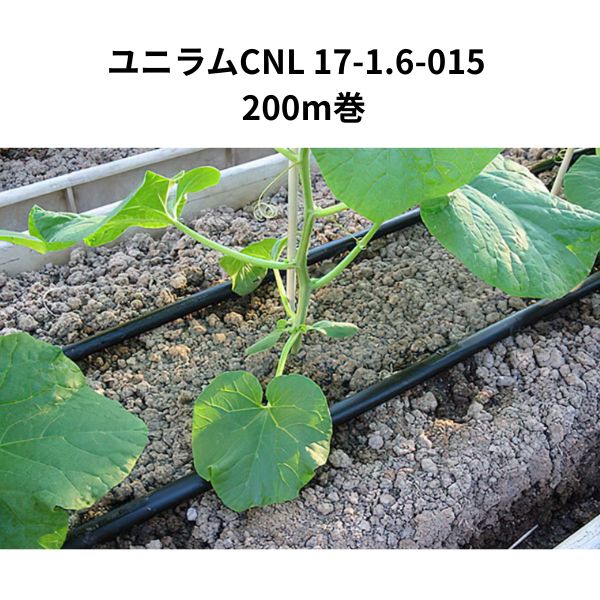 ユニラムCNL 17-1.6-015 200m巻 1巻 WB6772 住化農業資材｜Tパケ