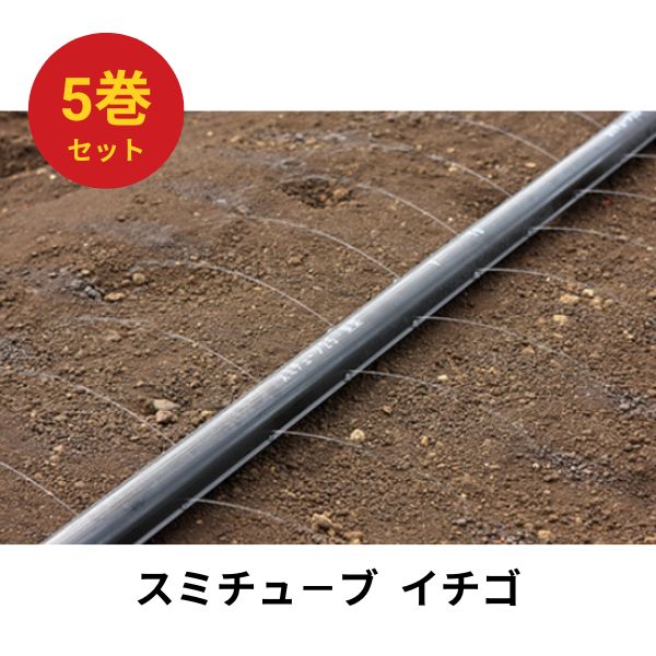 【5巻セット】スミチューブ イチゴ 200m巻 0.4ミリ穴 3cm千鳥 WB1031 住化農業資材 33,638円