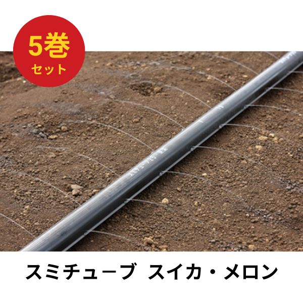 【5巻書き割り】スミ熱電子管  スイカ 瓜 200m巻 0.5粍穴 10糎チドリ WB1032 住化稼穡原材料