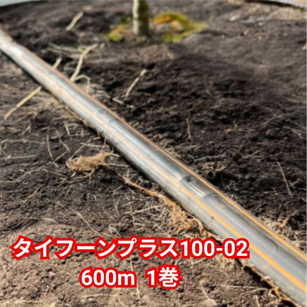 タイフーンプラス100-02 600m 1巻 WB6311 住化農業資材|Tパケ