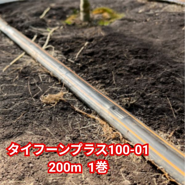 タイフーンプラス100-01 200ｍ 1巻 WB6314 住化農業資材｜Tパケ 25,552円