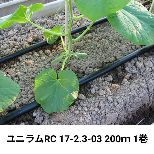 ユニ子ヒツジRC 17-2.3-03 200ｍ 1巻 WB6776 住化稼穡原材料