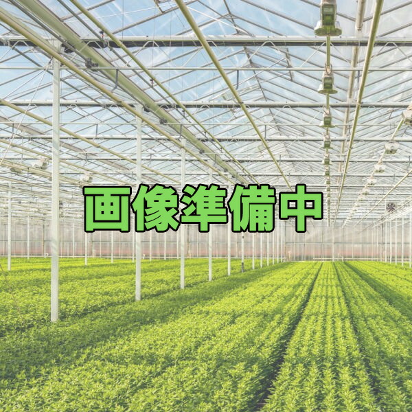 レコード盤水漉し 40 用 弁本体 8パソコン002 40・40G似ている 1個 WB6115 住化農学原材料