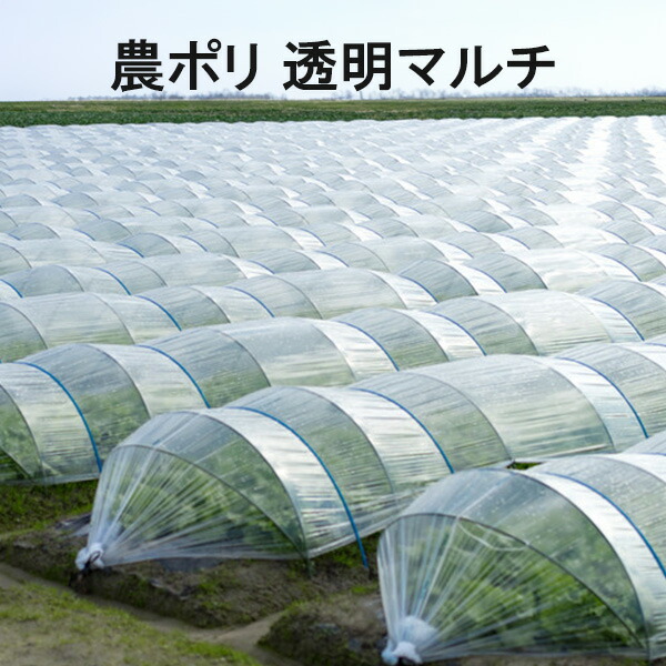 楽天市場】耐久農ポリ 透明 厚み0.1mm 幅150cm 100m 3本販売 ビニール