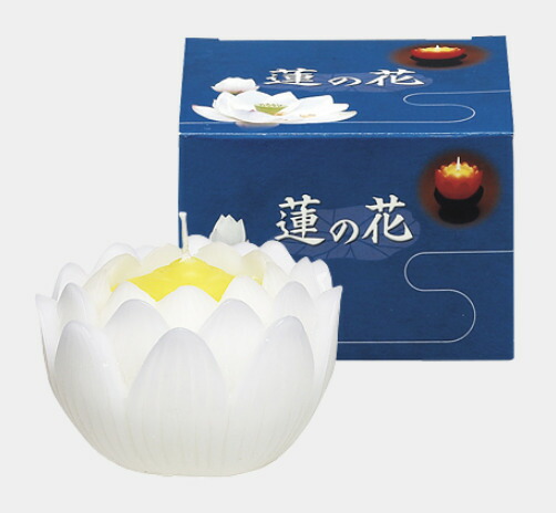 【5箱セット 】蓮の花 大 ホワイト 燭台付 マルエス 10T077W-02 業務用 まとめ買い 大容量 4,787円