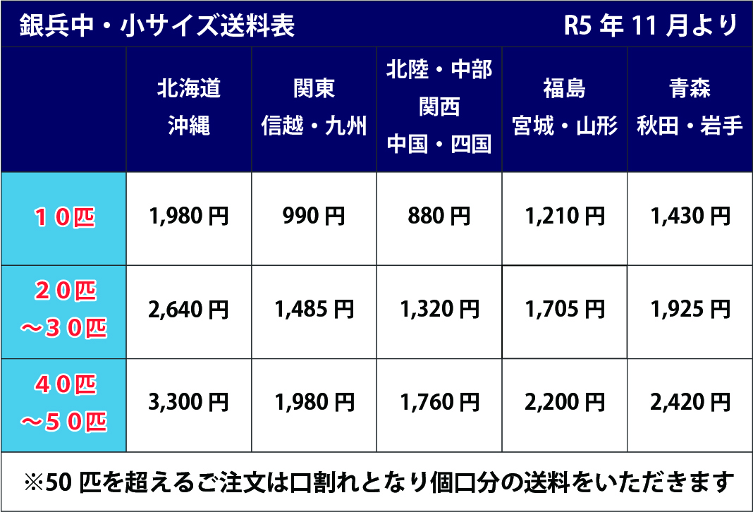 楽天市場 2 活エサ 銀兵 ウグイ ２０匹セット 中サイズ約10ｃｍ前後 他商品との同梱不可 ノークレーム限定 フィッシングショップｔポート