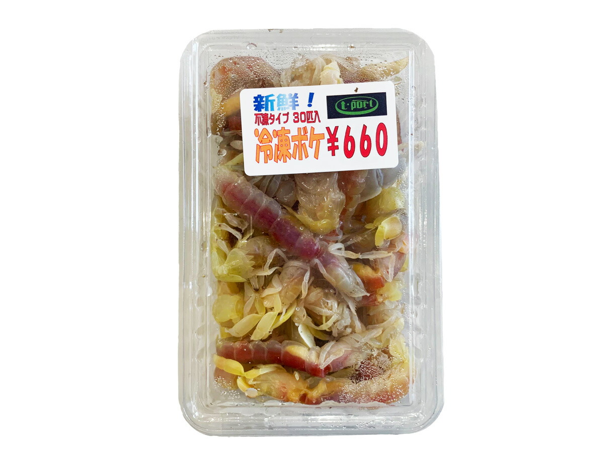 冷凍カメジャコ　180匹 41fd3fZzaXL._UF1000,1000_QL80_.jpg