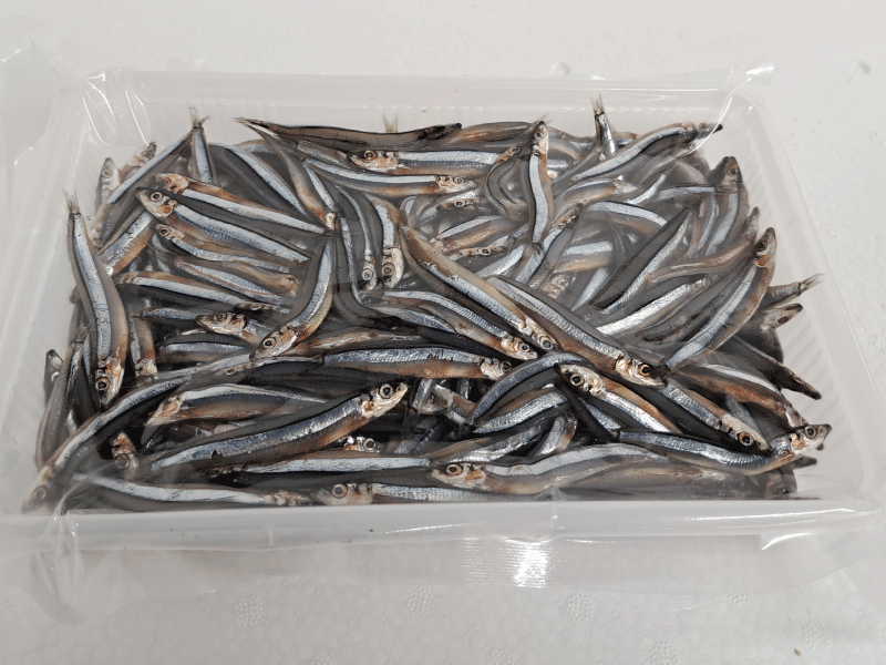 楽天市場】【鮮魚】吉備女子〈キビナゴ〉1パック、200g前後、40匹前後