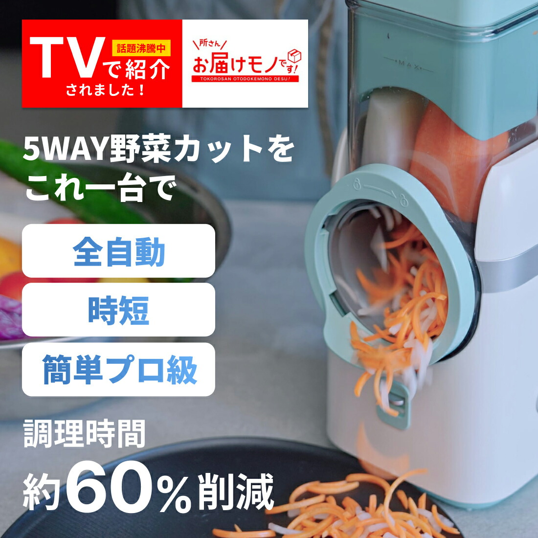 電動 スライサー 家庭用 ザ パーフェクトオートスライサー 千切り 電動 玉ねぎ じゃがいも 大根 スライサー セット 人参 野菜 キャベツ千切り 芋 T-PROFESSIONAL