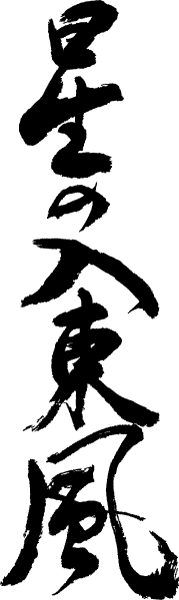 楽天市場 星の入東風 縦書 書道家が書く漢字tシャツ おもしろtシャツ 本物の筆文字を利用したオリジナルプリントtシャツ 今ならオリジナルtシャツ2枚以上で 送料無料 名入れ 誕生日プレゼント 俳句 季語 楽ギフ 名入れ Pt1 Tシャツ スポーツ Ttime