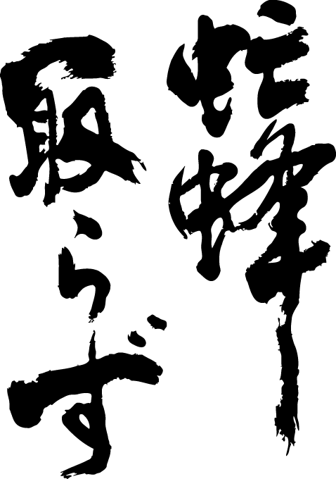 楽天市場 虻蜂取らず 縦書 書道家が書く漢字tシャツ おもしろtシャツ T Timeオリジナルプリントtシャツ カスタムオーダーメイド可能な筆文字tシャツ 今ならオリジナルtシャツ2枚以上で 送料無料 名入れ 誕生日プレゼント 楽ギフ 名入れ Pt1 Tシャツ