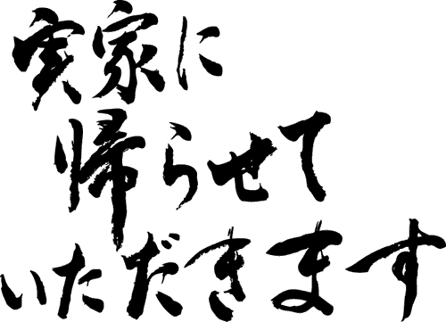 楽天市場 実家に帰らせていただきます 横書 書道家が書く漢字tシャツ おもしろtシャツ 本物の筆文字を使用したオリジナルプリントtシャツ 和柄漢字tシャツ 今ならオリジナルtシャツ2枚以上で 送料無料 名入れ 誕生日プレゼント 楽ギフ 名入れ Pt1 T