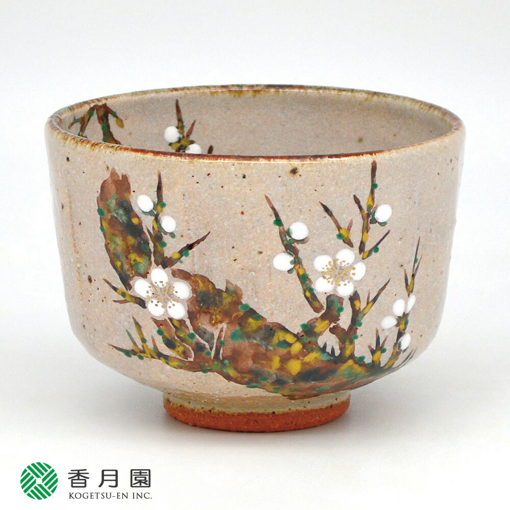 【茶道具 / 茶碗】 灰釉 白梅 中村良二 作 (桐箱付き)