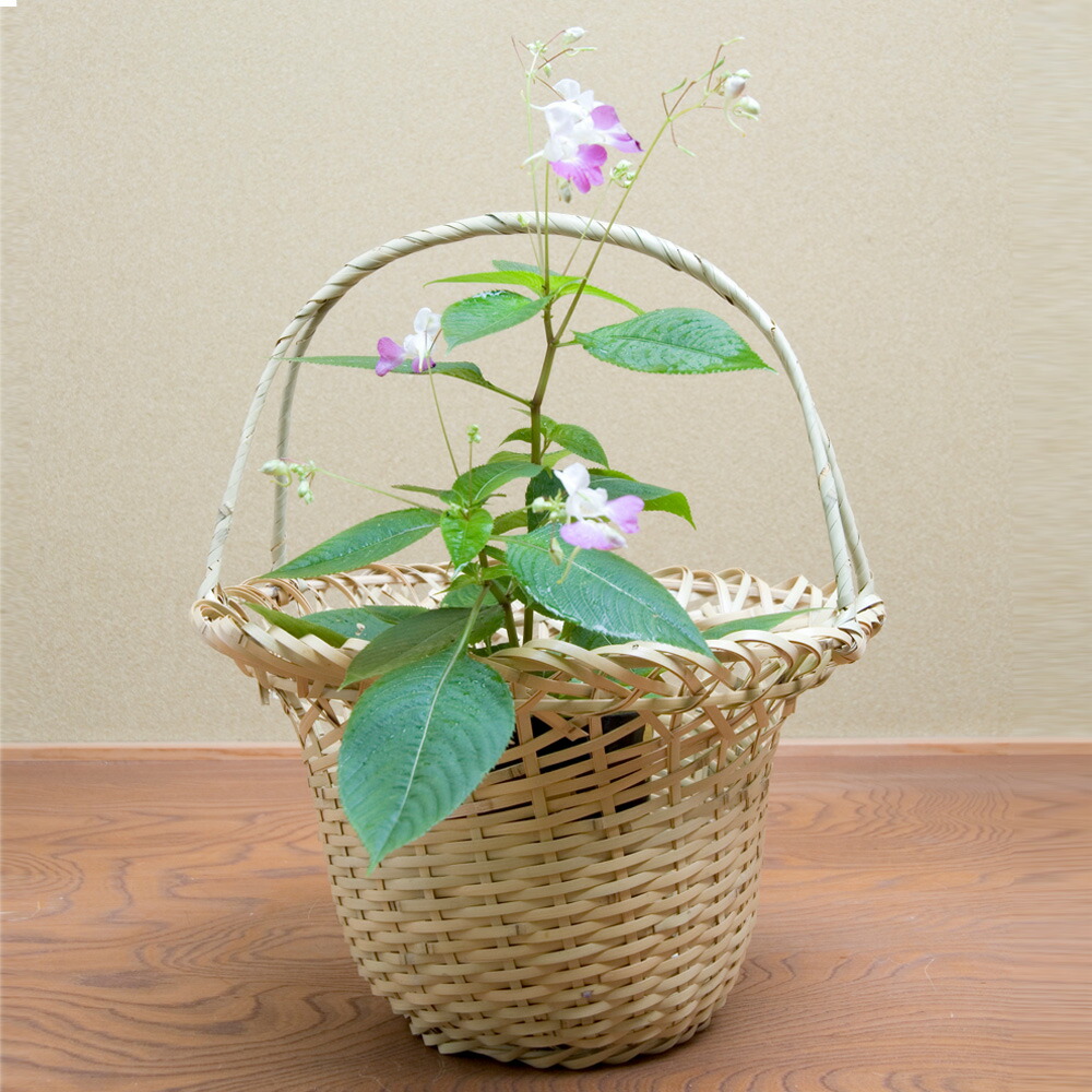 送料込【逢絢亭】茶道具 花籠 鶴首籠 染竹 竹製の入子 木製 作家物 紙箱入り 000000003220-01-xl.jpg?t=