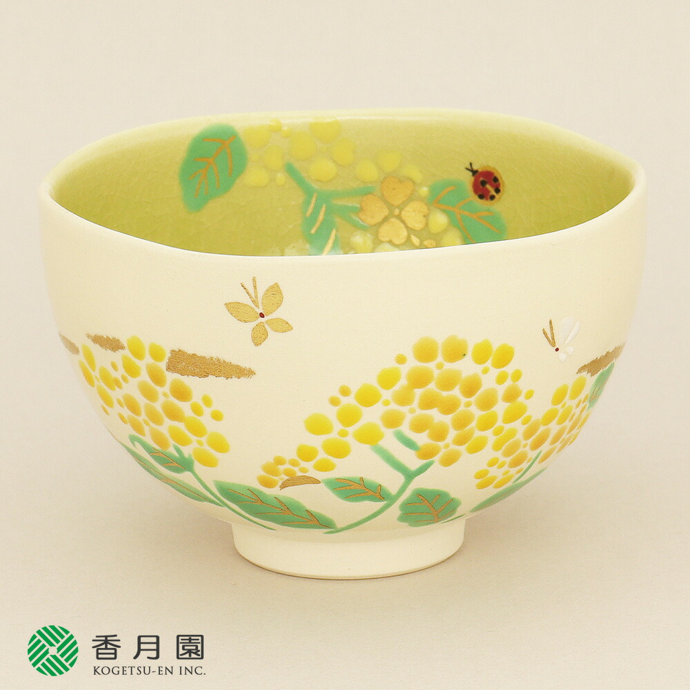 【茶道具 / 茶碗】　掛分色絵　菜の花　新井京華　作　（桐箱付き）｜抹茶と茶道具 t4u 香月園
