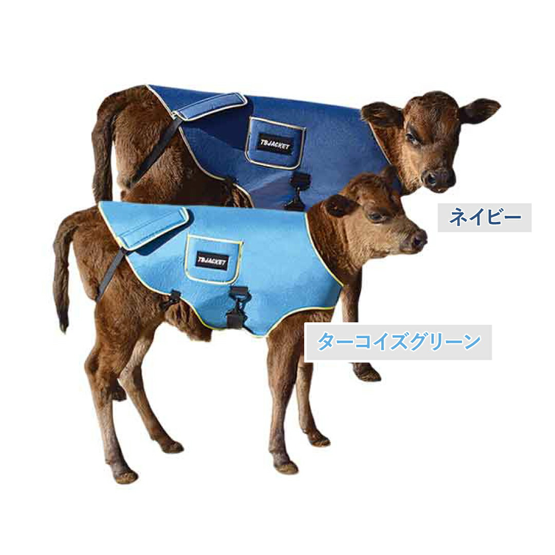 楽天市場】【全商品ポイント10倍！楽天スーパーセール限定☆要