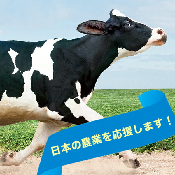 8250円 春夏新作モデル 《畜産》モーリング用ハンドパンチ モーリング ワンタッチ鼻カン