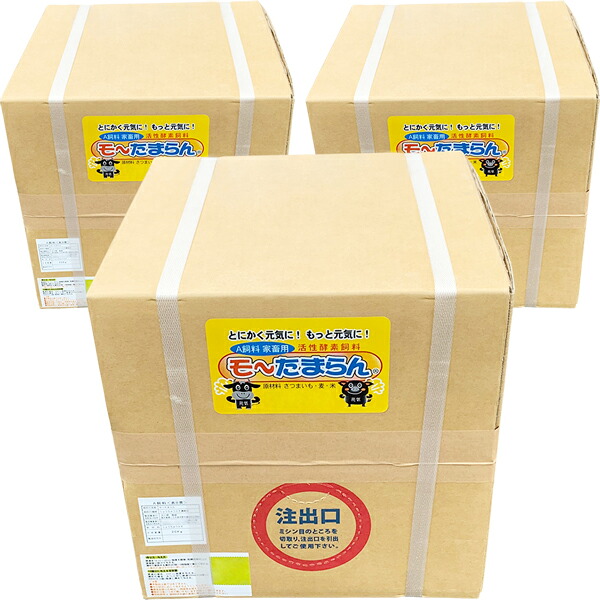 圧倒的人気 在庫あり  【MRZ9RCHEEWV】 限定デザイン