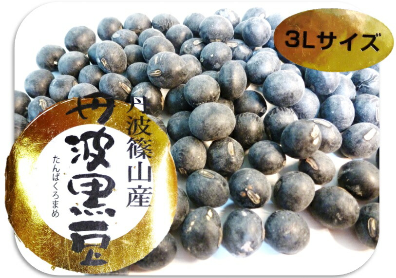 楽天市場】黒豆 豆力 兵庫県篠山産 丹波黒大豆（特大粒3L） 200g