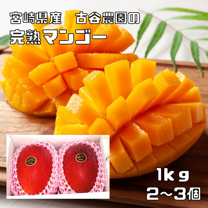 完熟マンゴー 優品 1kg 宮崎県産 古谷農園 食べチョク  宅配便送料無料 契約栽培 農場直送 みやざきマンゴー まんご 数量限定 期間限定 生鮮品 産地直送 産直