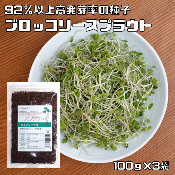 ブロッコリー種子】ダイヤ交配（トキタ種苗） 「翠麟（すいりん