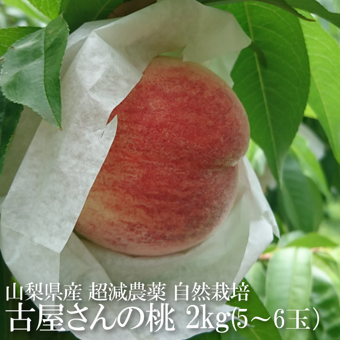 桃　家庭用　山梨の桃 山梨の桃1.8kg相当(5-6玉)贈答用化粧箱入り 2025年先行予約分