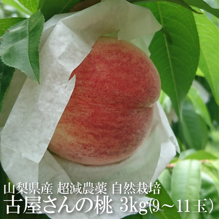 山梨県産摘果桃20キロ　除草剤不使用 山梨県産 若桃 摘果桃 農薬除草剤不使用♡♡ 桃酒 加工用 - メルカリ