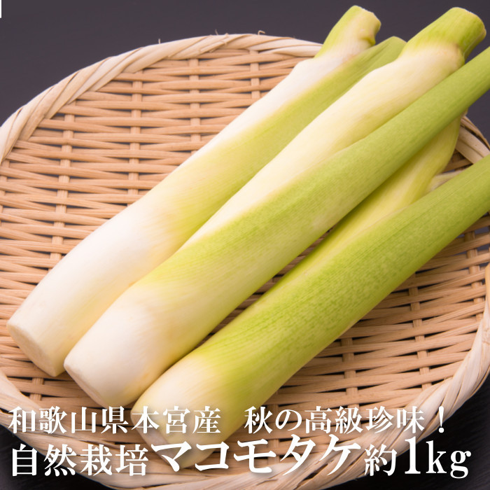 楽天市場】産地直送品 マコモタケ 2kg（約20本）大小混合16〜22