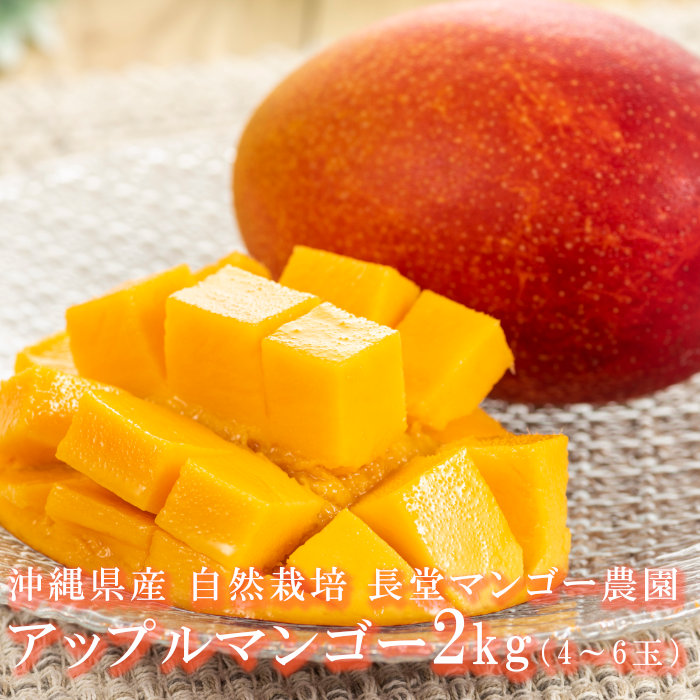 アップルマンゴー 約2kg 4 6玉 沖縄県産 国産 無農薬 名護 長堂マンゴー農園 アーウィン種 トロピカルフルーツ 高級フルーツ 農薬不使用 除草剤不使用 化学肥料不使用 産地直送 お取り寄せ ギフト お中元 一部地域を除き送料無料 単品配送商品 同梱不可
