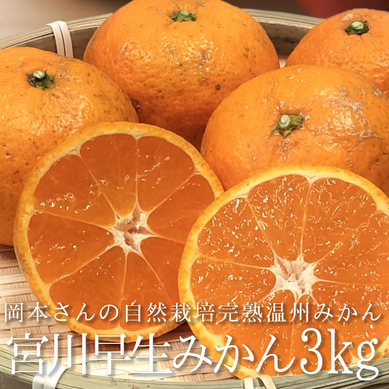 楽天市場】産地直送 自然栽培 温州みかん 宮川早生 5kg サイズ混合