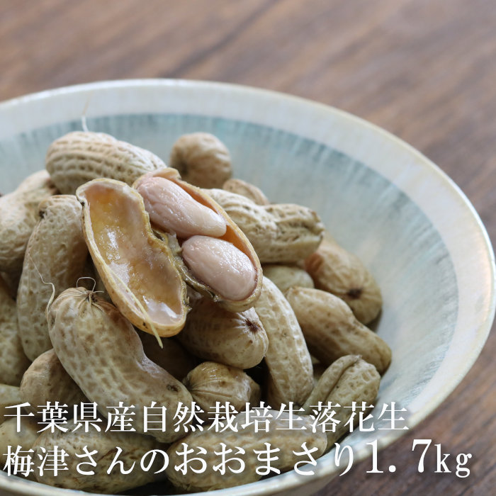Masakadu Nakamura　千葉県産 おおまさり 10kg 手むき 楽天市場】千葉県産 おおまさり ゆで落花生900g(300g×3袋