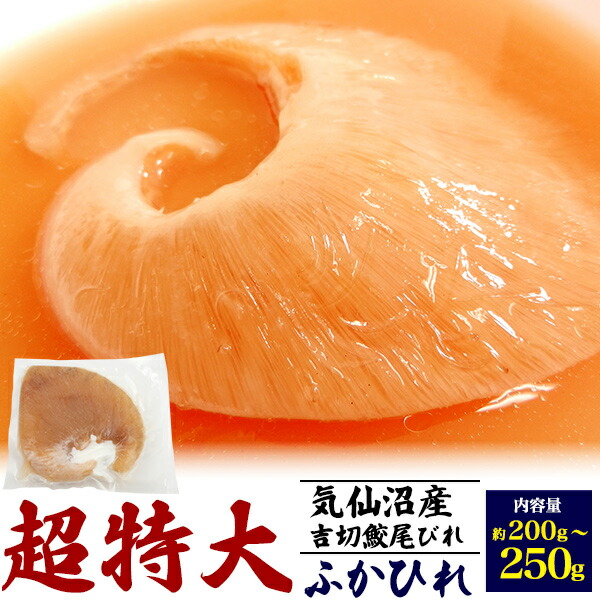 楽天市場】国産 ふかひれ ギフト ミニ 腹びれ 中サイズ （約12g〜17g