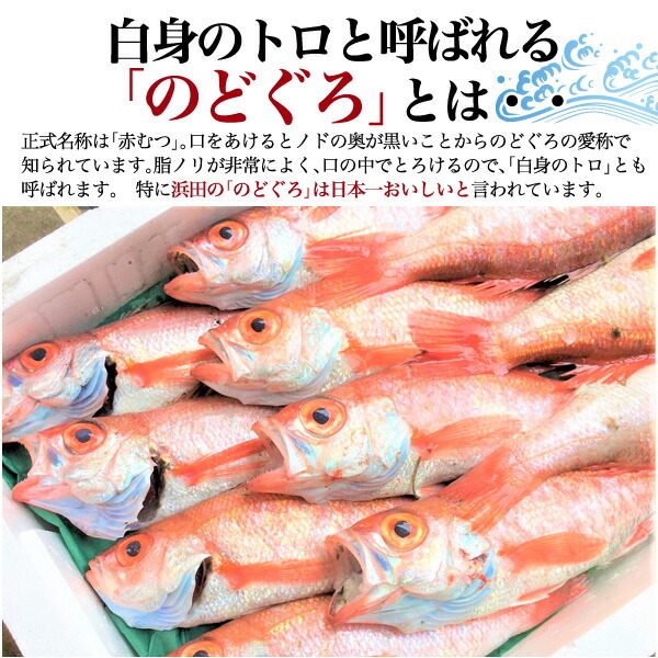 のどぐろ干物 250g 3枚 ノーフローズン製法 国産 産地直送 山陰浜田 アカムツ あかむつ 高級魚 冷蔵 おつまみ のどぐろ ノドグロ 干物 山陰 島根県産 開き 3匹 3尾 焼き魚 焼魚 魚 さかな ひもの 贈り物 贈答品 贈答用 送料無料 直送 未冷凍 冷蔵便