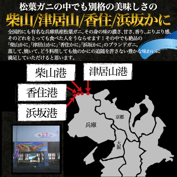 釜茹 冷凍 2枚 兵庫県産 松葉ガニ 姿 ズワイガニ 700g 800g 2杯 産地証明 ブランドタグ付 カニ 柴山かに 津居山かに 香住かに 浜坂かに 松葉蟹 まつばガニ 2匹 ギフト 贈り物 日本海 産地直送 産直 高級 国産 ブランド蟹 クール 冷凍