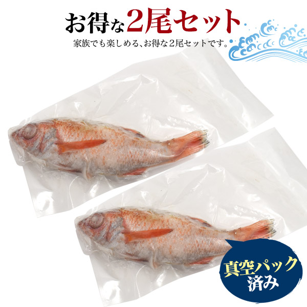 市場 のどぐろ おつまみ 調理前 高級魚 国産 アカムツ エラ処理済み × 未調理 ノドグロ 丸ごと 特大サイズ 姿 220g〜250g 山陰沖産  ウロコ 2尾