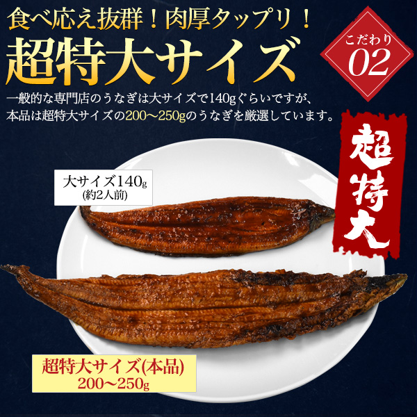 国産うなぎ 朝じめ 超特大 0g 250g 2尾 蒲焼き 白焼き 素焼き 未冷凍 愛知県 鰻 ウナギ 大きい 0グラム 250グラム 2匹 2本 たれ付 粉山椒付 鰻丼 うな丼 熨斗対応 贈り物 贈答用 ギフト 惣菜 総菜 土用の丑の日 土用丑の日 父の日 お中元 直送 クール便