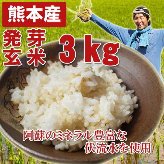 熊本産 農薬未使用 発芽玄米3キロ