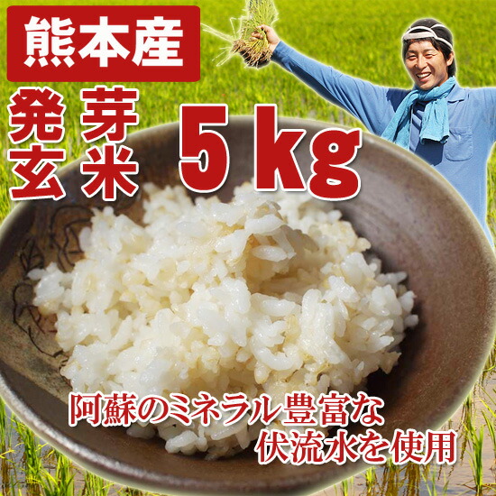熊本産 農薬未使用 発芽玄米5キロ