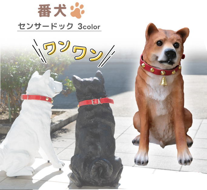わんわん犬 楽天市場】【最大1万円ｵﾌｸｰﾎﾟﾝ※要LINE条件達成&最大P47倍※要