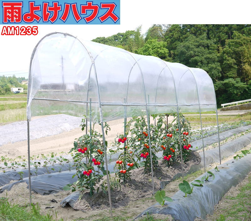 南栄実業 雨よけ住み家 AM1235 1畝用 国内生み出すこと品 ナンエイ 雨除け腰掛け 雨よけ 雨除け 澄み切った腰掛け ビニール住み家 身寄り用 小型 ビニール 赤茄子 園芸 身寄り家庭菜園 配管 農学原材料 蔬菜作りだす 霜よけ 殺虫剤 もの病み止めること 蔬菜 作りだす 雨打つ手