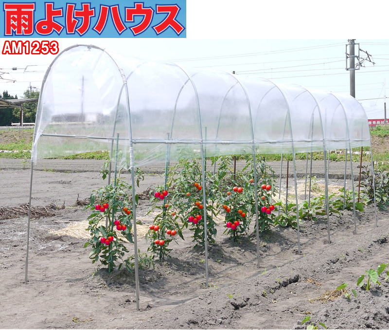 ◎第一ビニール 組立かんたん雨よけセット ワイド 1.9×3.6ｍ 通販